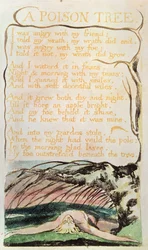 Lieder der Erfahrung; Ein Giftbaum, 1794